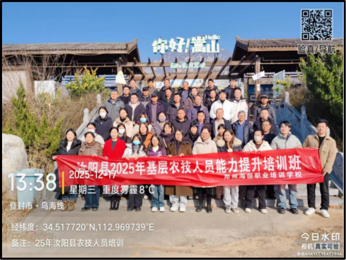 图片36 图片36